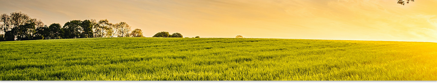 imagen sobre nosotros